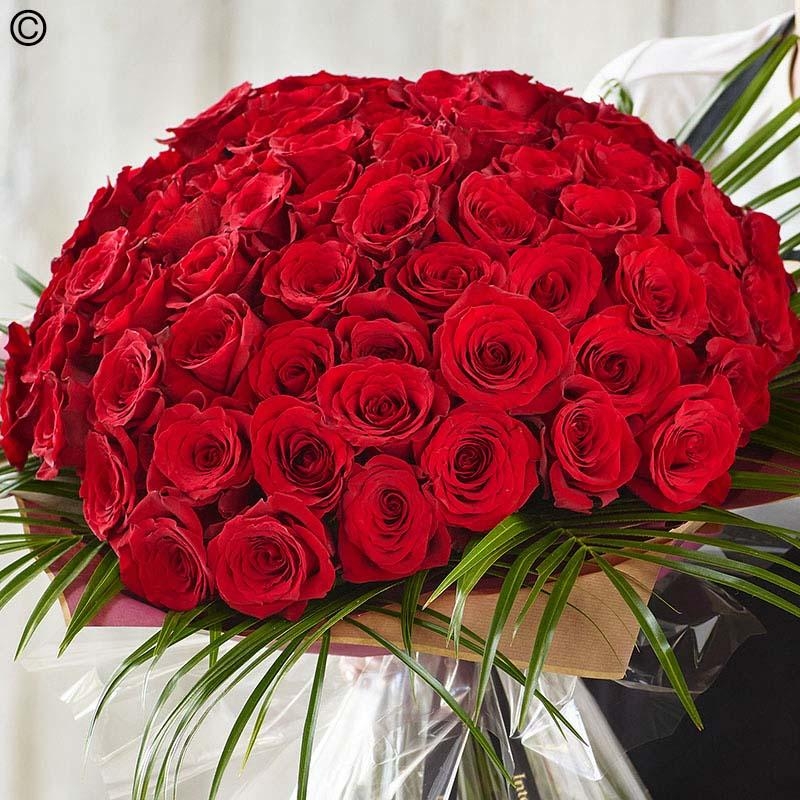 100  Red Rose Grand Gesture +  Free Surprise Gift Hamper
