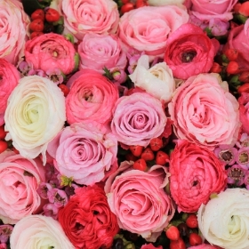 Mixed Roses